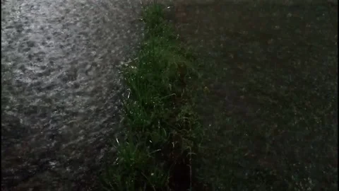 Beautiful night rain rain at backyard Stock Footage 218075691