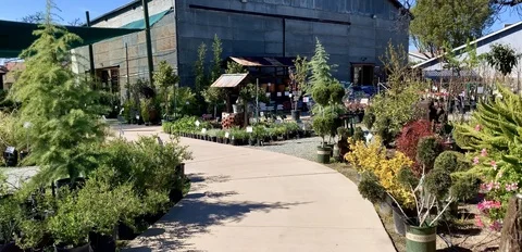 Beautiful nursery pathway Stock Footage 126258493