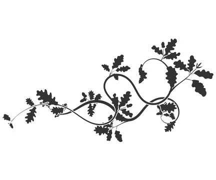Beautiful oak weaving pattern element new vector Stock Illustration