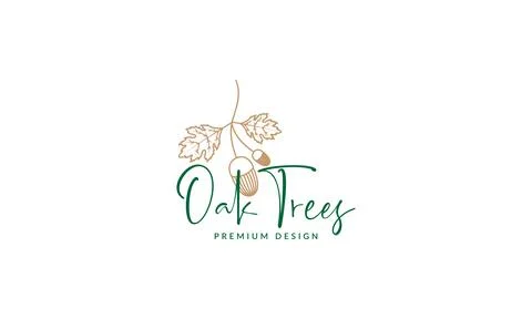 Beautiful oaks fruit with leaf logo symbol vector icon illustration graphic.. Illustration