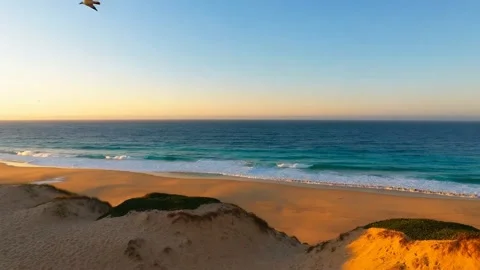 Beautiful ocean at the beach Stock Footage 308727622
