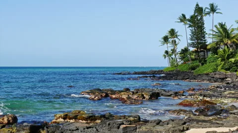 Beautiful ocean coast 4k Vidéo 50196582