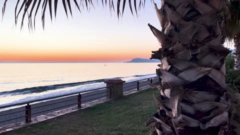 Beautiful Ocean Sunset with Waves Gently Washing Ashore behind a palm tree Stock Footage 297429998