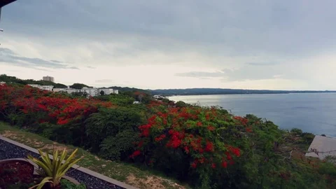 Beautiful Ocean View from the mountains in Puerto Rico Stock Footage 78078907