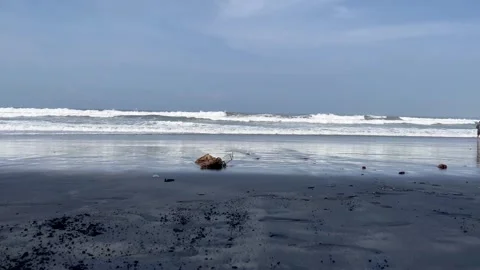 Beautiful Ocean Waves Rolling on a Tropical Black Sand Beach Stock Footage 340256354