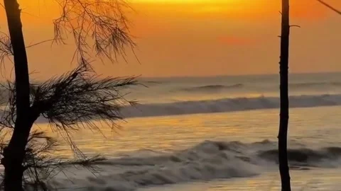 Beautiful Ocean Waves at Sunset Through Coastal Tree Branches. Stock Footage 335354143