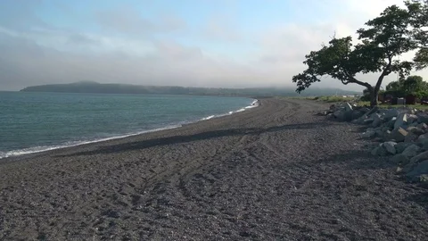Beautiful Oceanside Beach with Tree. Stock-Footage 82129726