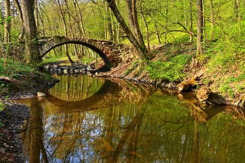 Beautiful old bridge over a stream in the woods. Natural green background fro Stock Photos