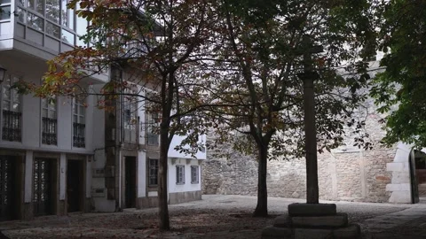 Beautiful old courtyard with stone shadow Stock Footage 209689145
