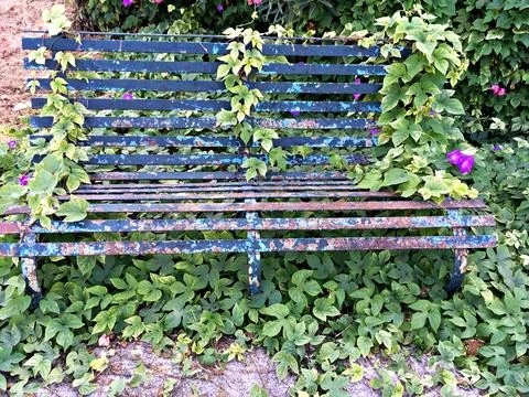 Beautiful old rusty bench with flaking blue paint overgrown with creepers Stock Photos