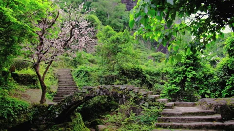 Beautiful old stone bridge in Da Hong Pao valley, Wuyishan, China Stock Footage 286888115