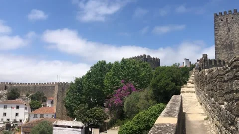 Beautiful old town surrounded by Medieval walls Stock Footage 197472072