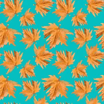 A beautiful orange leaf swims in clear turquoise water. 스톡 일러스트