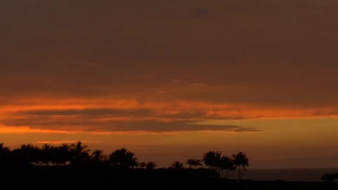 Beautiful orange ocean sunset overlooking golf course and palm trees A Stock Footage 125332255