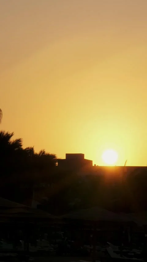 Beautiful orange-red sunset in hot Africa, dark outlines of palm trees, and Stock-Footage 310951664
