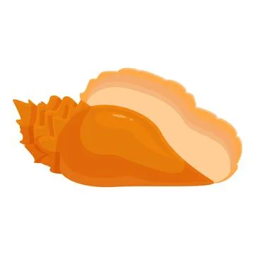 Beautiful orange seashell lying on white background Stock Illustration