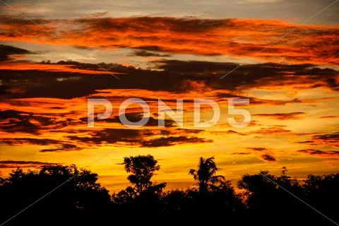 Beautiful orange sky Stock Photos