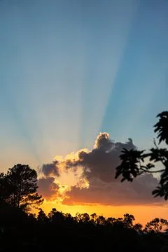 Beautiful orange sunset with backlit trees as frame. Stock Photos