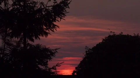 Beautiful orange sunset between trees and hill Video stock 97657888