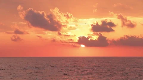Beautiful orange sunset with clouds and birds Stock-Footage 75047057