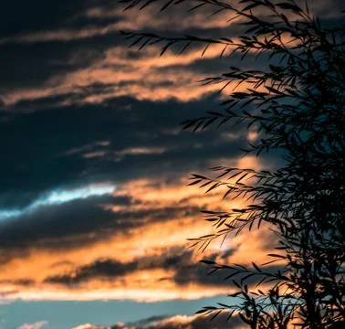 Beautiful orange sunset clouds. Stock Photos
