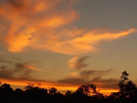 Beautiful Orange Sunset Over Amazon Jungle Rainforest Stock Footage 112938211