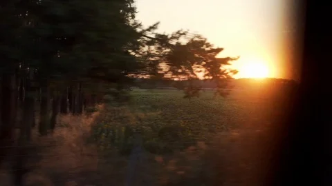 Beautiful orange sunset over the fields captured from a driving bus Stock Footage 119378603