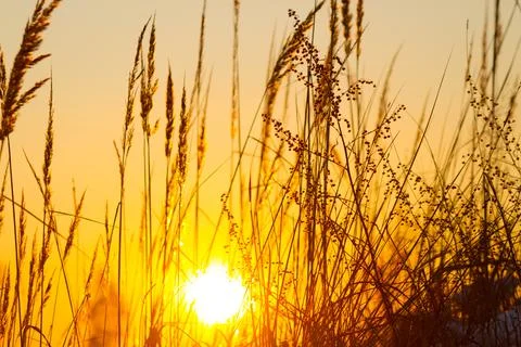 Beautiful orange sunset Stock Photos