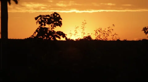 Beautiful Orange Time lapse Sunset Stock Footage 37022223