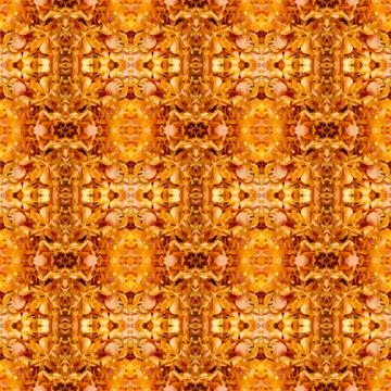 Beautiful orchid seamless pattern background Stock Photos