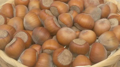 Beautiful organic hazelnuts displayed in a rustic basket, perfect for autumn Stockbeeldmateriaal 286209073