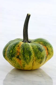 Beautiful organic  pumpkin or summer squash on  carrara marble countertop Stock Photos