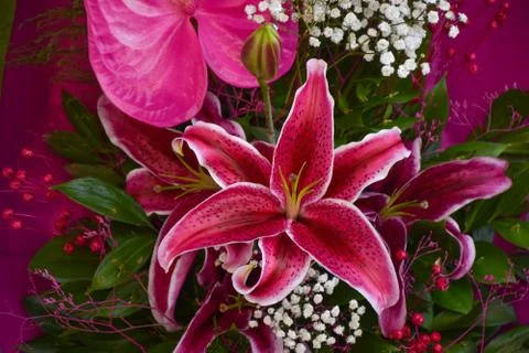 Beautiful Oriental pink lily bouquet with white small flowers and green leaves Stock Photos