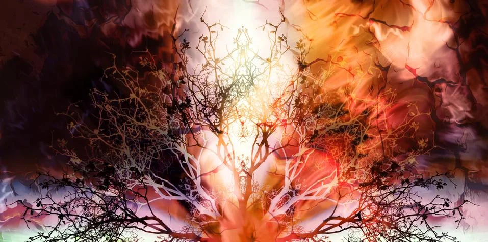 Beautiful ornamental mandala with tree pattern, symbol of life 库存插图