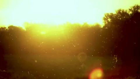 Beautiful out of focus sunset. Stock Footage 131500873