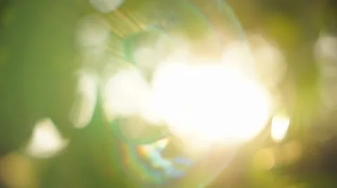 Beautiful out of focus sunset. Sun shine through blowing on wind tree leaves Stock Footage