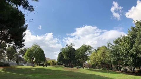 Beautiful overflight motion performed by a group of birds 스톡 동영상 83396973