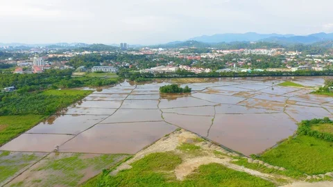 Beautiful paddy field pattern small rural town Stock Footage 113559171