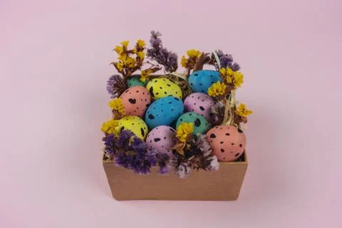 Beautiful painted Easter eggs with dried flowers in little box isolated on pink Stock Photos