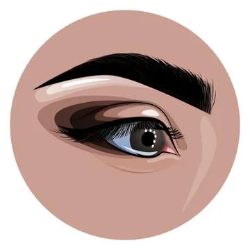 Beautiful painted female eye and eyebrow for fashion design Stock Illustration