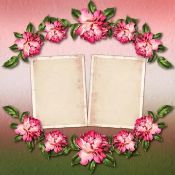 Beautiful painted rose with frames for congratulations or invitation on abstr Foto stock