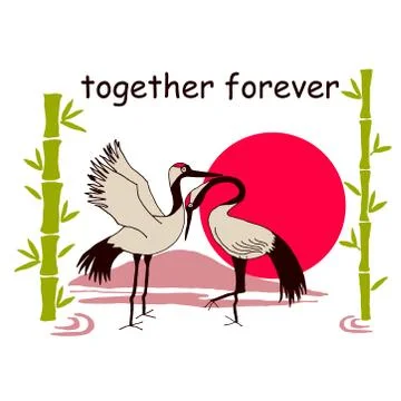 Beautiful pair of cranes Stock Illustration