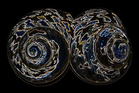 Beautiful pair of seashells with neon effect reflecting multiple colors Stock Photos