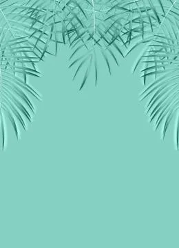 Beautiful Palm Leaf Background. Vector Illustration Stock Illustration