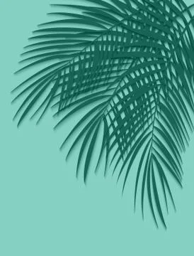 Beautiful Palm Leaf Background. Vector Illustration イラスト素材