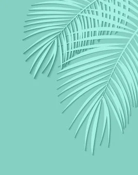 Beautiful Palm Leaf Background. Vector Illustration Stock Illustration