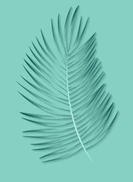 Beautiful Palm Leaf Background. Vector Illustration Stock Illustration