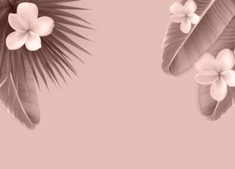 Beautiful Palm Leaf Background. Vector Illustration Stockillustratie