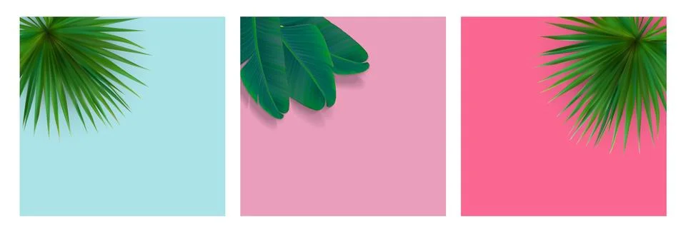 Beautiful Palm Leaf Background. Vector Illustration Illustrazione stock