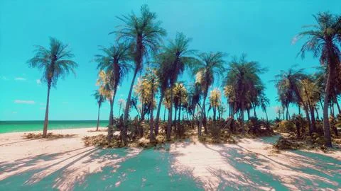 A beautiful palm tree landscape on a sandy beach Stock Illustration